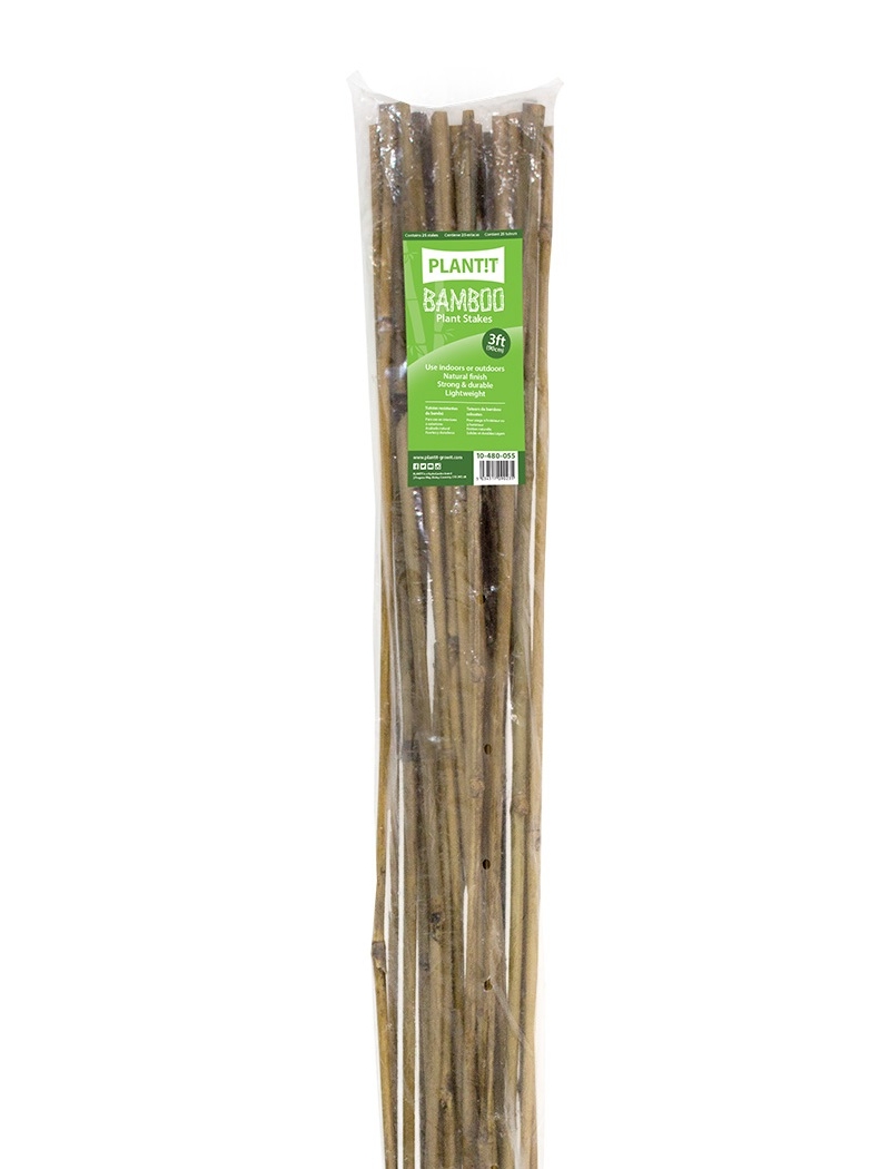 bamboo canes