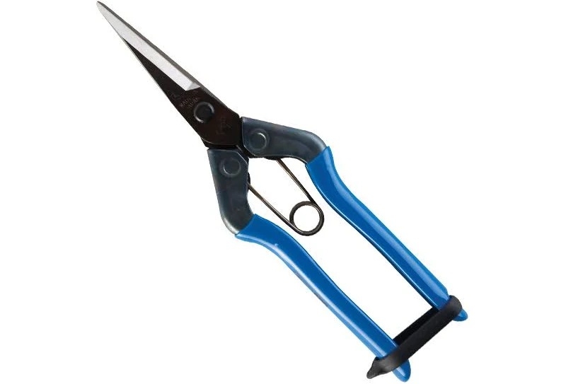 chikamasa ts5 scissors / pruners