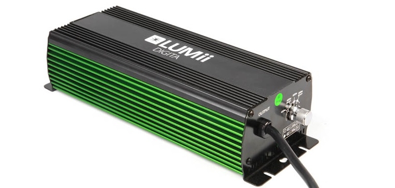 lumii digita 600w