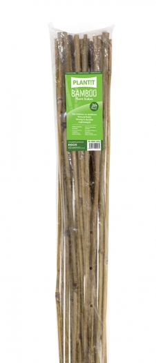 bamboo canes