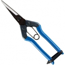 chikamasa ts5 scissors / pruners