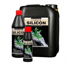 liquid silicon