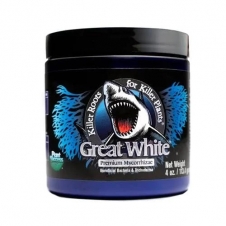 great white mycorrhizae