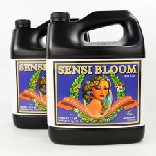 sensi bloom - coco - 4 litre